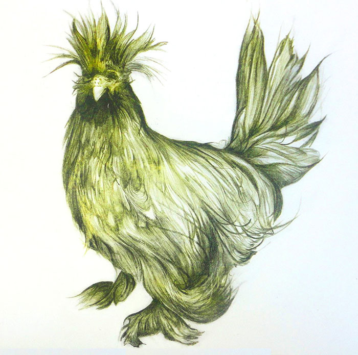 0145_Rooster_Rachel_Singel_Lithograph_13_x_16_inches_2016