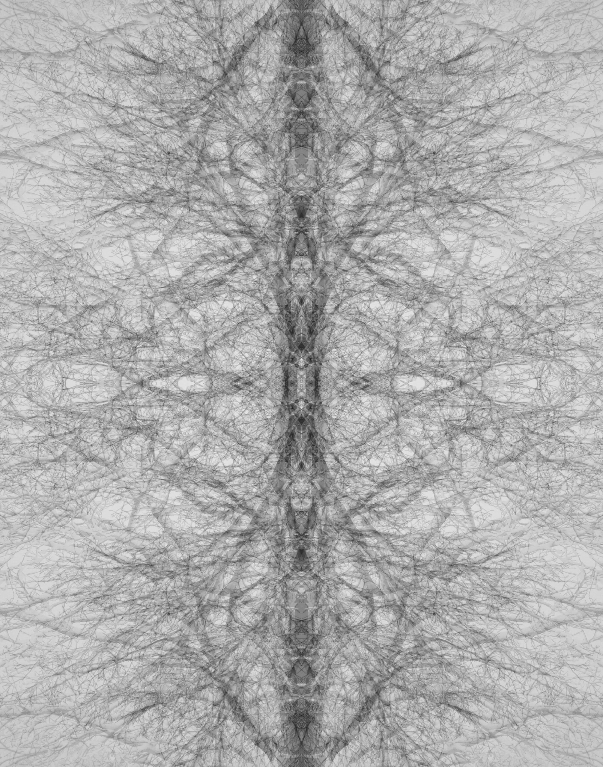 Ghosts Of Elves
