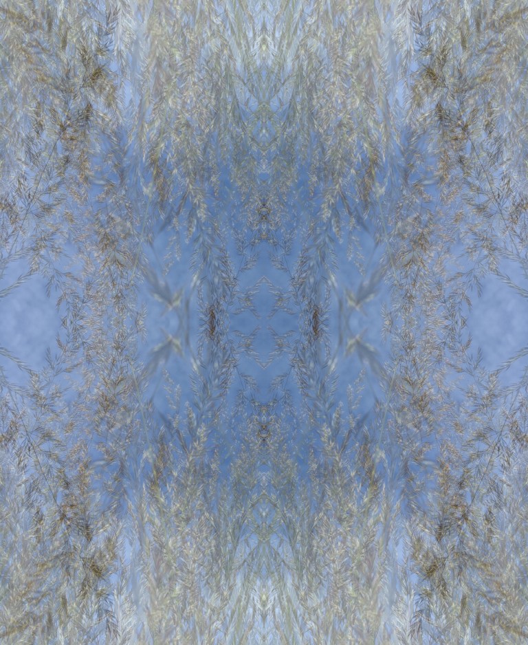 Ripples On The Water