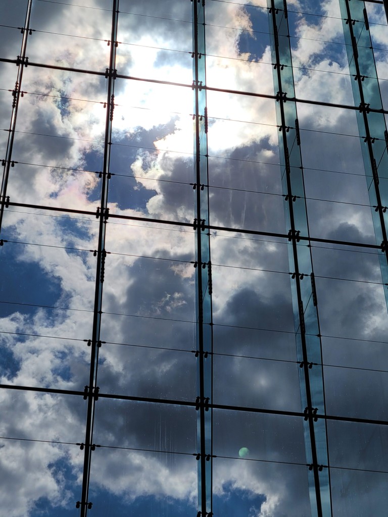 SkyCaged